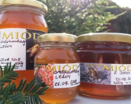 miód leśny wielokwiatowy